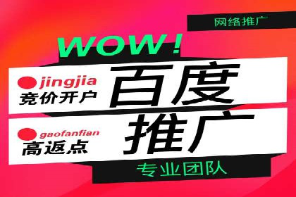 百度推广代运营案例：案例分享：打造行业领军品牌